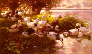 亞歷山大 凱斯特 Max Ducks On A Lake 亞歷山大 凱斯特 Max Ducks On A Lake